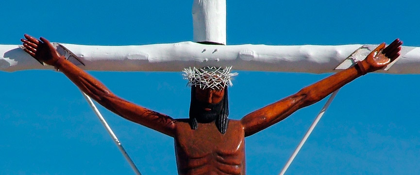 Vivero, Bosque de Miramar